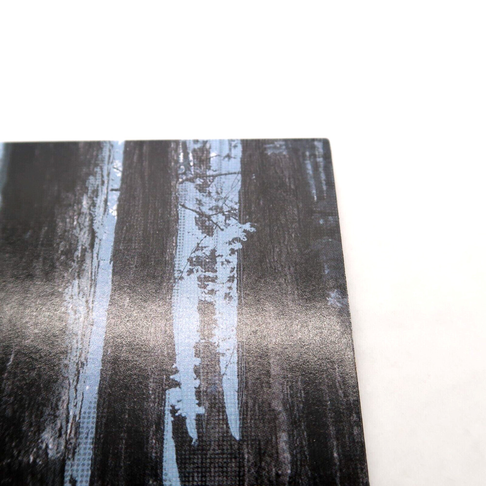Image Comics Wytches #1 - 2014 Key First Issue - Picture 4 of 11